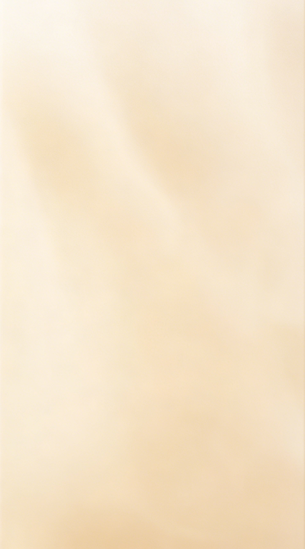 模板3